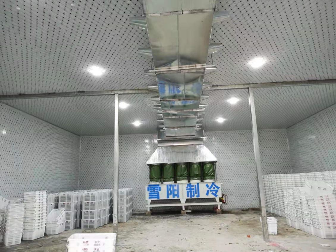 楚雄蔬菜冷庫能帶來哪些經濟效益